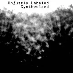 Unjustly Labeled : Synthesized